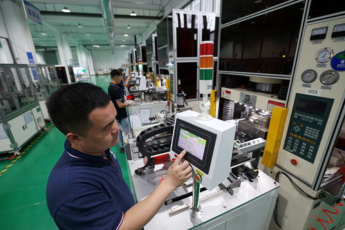 安徽合肥 培育科技型中小企業(yè)，以計(jì)算機(jī)軟硬件技術(shù)開發(fā)推動高質(zhì)量發(fā)展